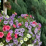 Euphoria アパート Gołdap