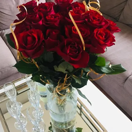 Appartamento Euphoria